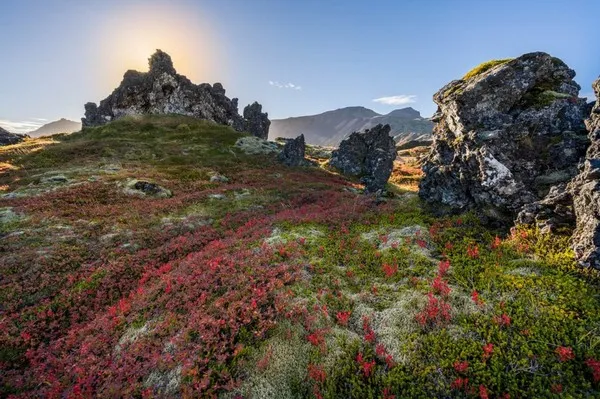 Природная Красота Севера в Исландии