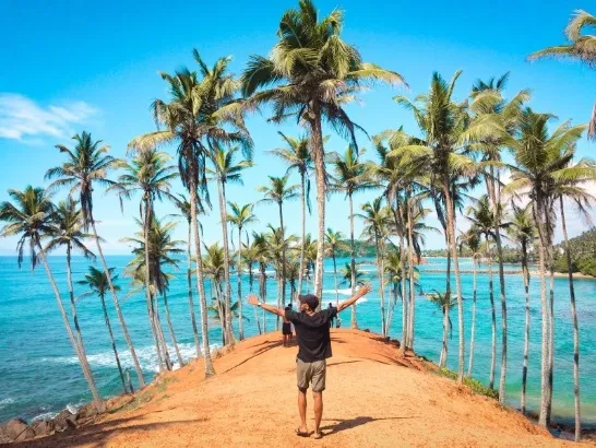 Palm trees and the ocean in Sri-Lanka