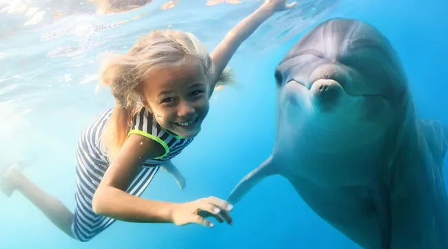 girl with dolphin.