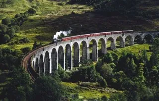 The train goes over the bridge surrounded by forest